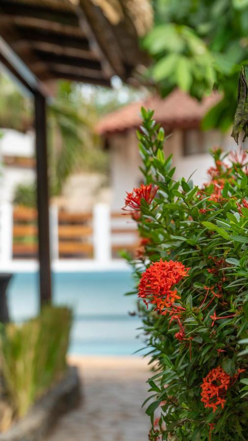 Hotel Luna Llena Tamarindo Luaran gambar